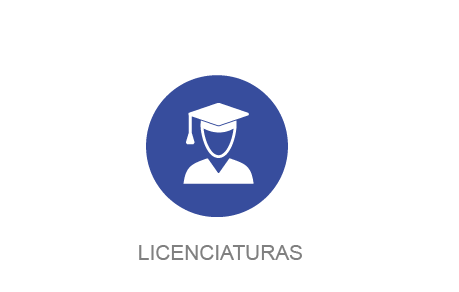 Linceciaturas
